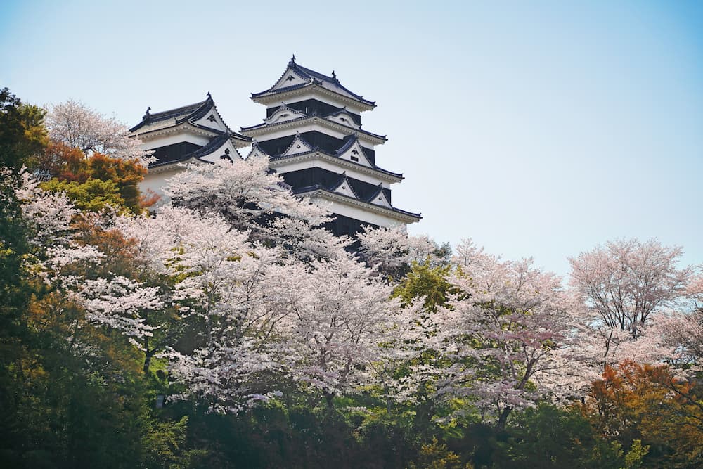 一泊二日】大洲の見どころ・食を大満喫。歴史を辿る王道モデルコース。